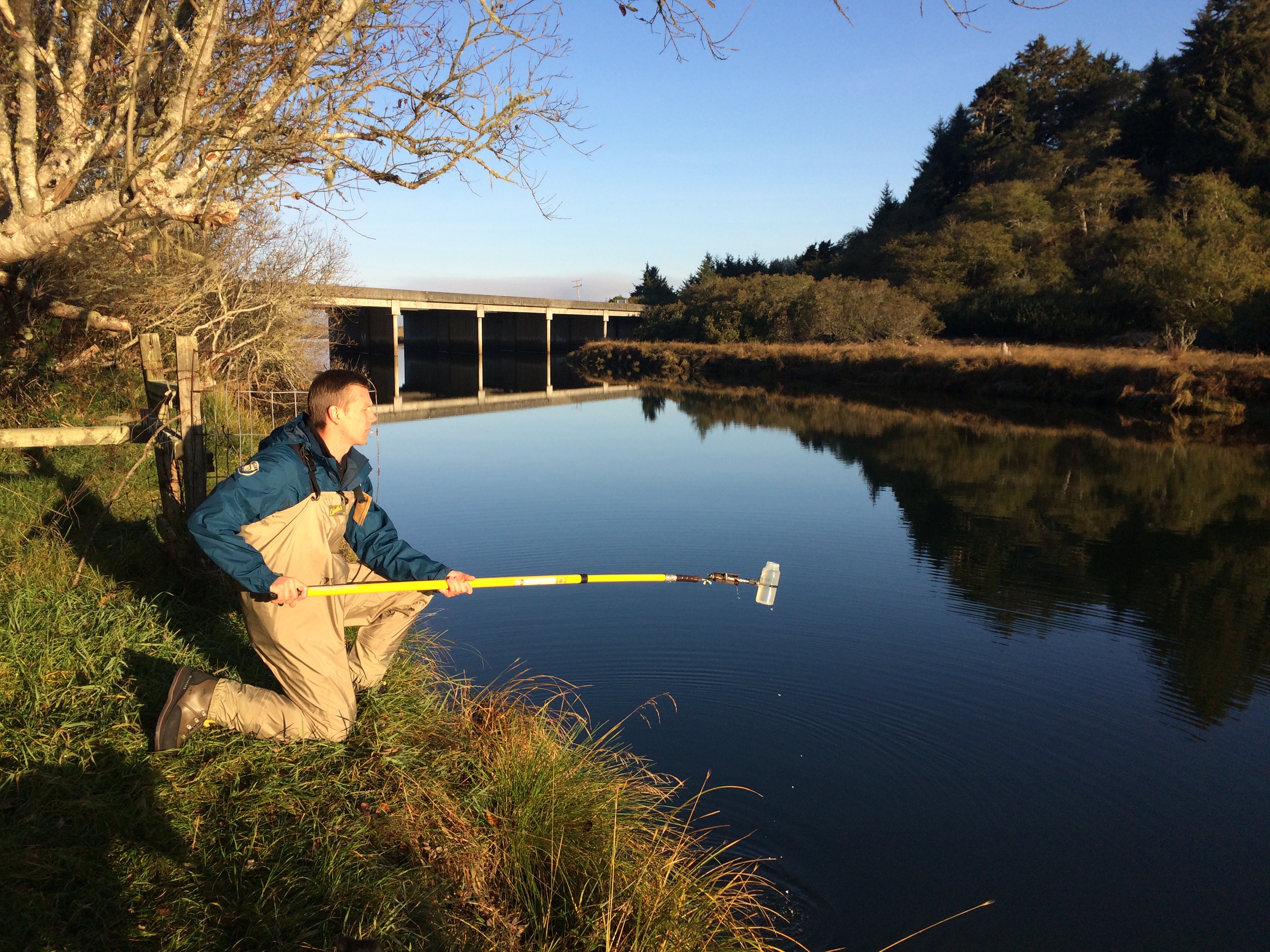 member of the Watershed Stewardship Program, collecting water samples for fecal indicator bacteria analysis from the Little River in Humboldt County