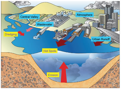 Diagram showing sources of PCBs to San Francisco Bay represented by arrows. Sources are erosion, dredging, urban runoff, wastewater, atmospheric deposition and Central Valley rivers