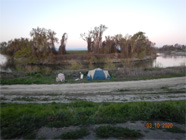 View of the Smith Canal with homeless encampment on the levee across the canal. Walking bridge off to the right. Foreground shows brown plastic shopping cart in the water. - Date of 03.11.2020 shows at the bottom of the photo